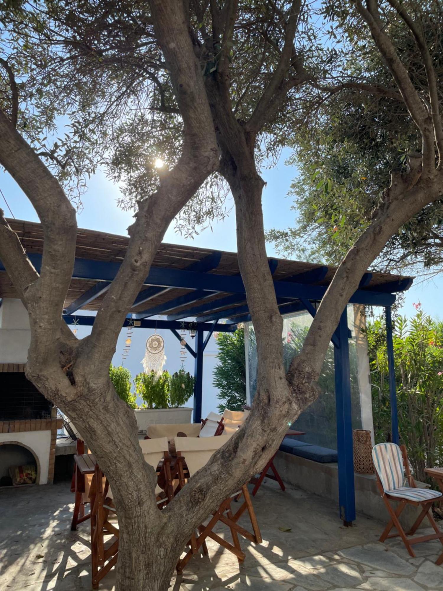 Villa Gelly'S Studios Aliki  Bagian luar foto